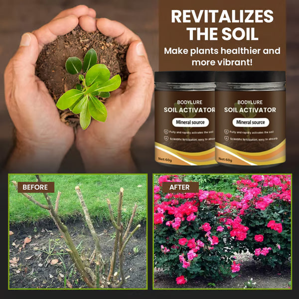 🔥Last Day 70% OFF-🌱Soil Activated Treasure-You Will Be Amazed!